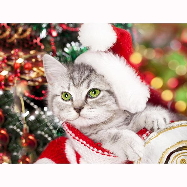 Diamond Painting Christmas Cat 5D DIY Diamond Embroidery Animal Cat Rhinestone Picture Mosaic Home Decorations Christmas Gift