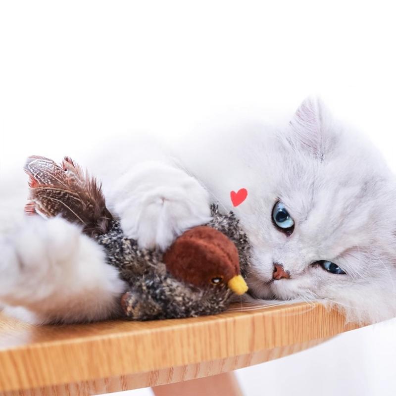 Cats Bird Cats Toy Kitten Squeaky Toy with Sound for Cats Teething Chewing Bird with Sound for Cats to Exercise Gift