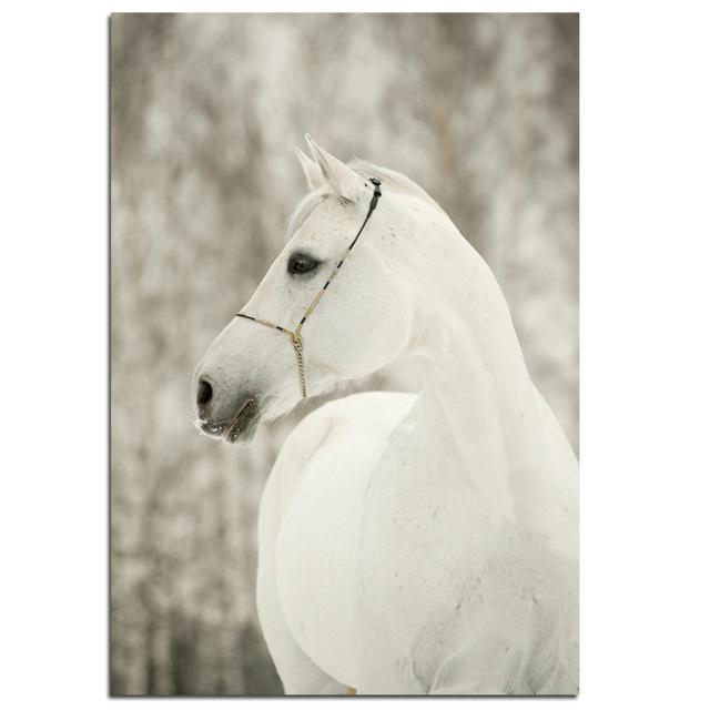 Vintage Horses Canvas Painting Animals Posters and Prints Oil Painting On Canvas Wall Art Pictures For Living Room Decoration No Frame