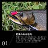 Used Kebari Handmade Kebari Fly Completed Fly Managed Fishing Spot Trout For Beginners Children