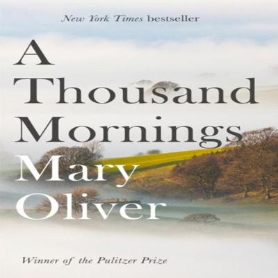 A Thousand Mornings by Mary Oliver Paperback Book 9781472153760