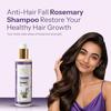 TrendTree Spanish Rosemary Shampoo & Conditioner Combo | Hair Care Duo for Scalp & Root Care + Advanced Hydration | 250ml Each