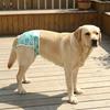 Elastic Waist Dog Physiological Pants Leak-Proof Dog Sanitary Panties  Physiological Safety