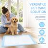 20pcs Strong Water Absorption Pet Pee Pads Blue Water Absorbent Pads  Car Travel Use