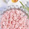 Pink Series Dried Rose Nail Art Accessories Pure Desire Rose Carving DIY Earrings Hair Clips Resin Nail Art Material Kit