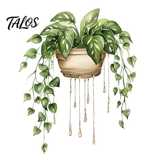 Easy Peel And Stick Home Decor Watercolor Potted Plant Wall Stickers, PVC Waterproof Hanging Pothos/Daisy Decals, Removable Green Leaf Stickers