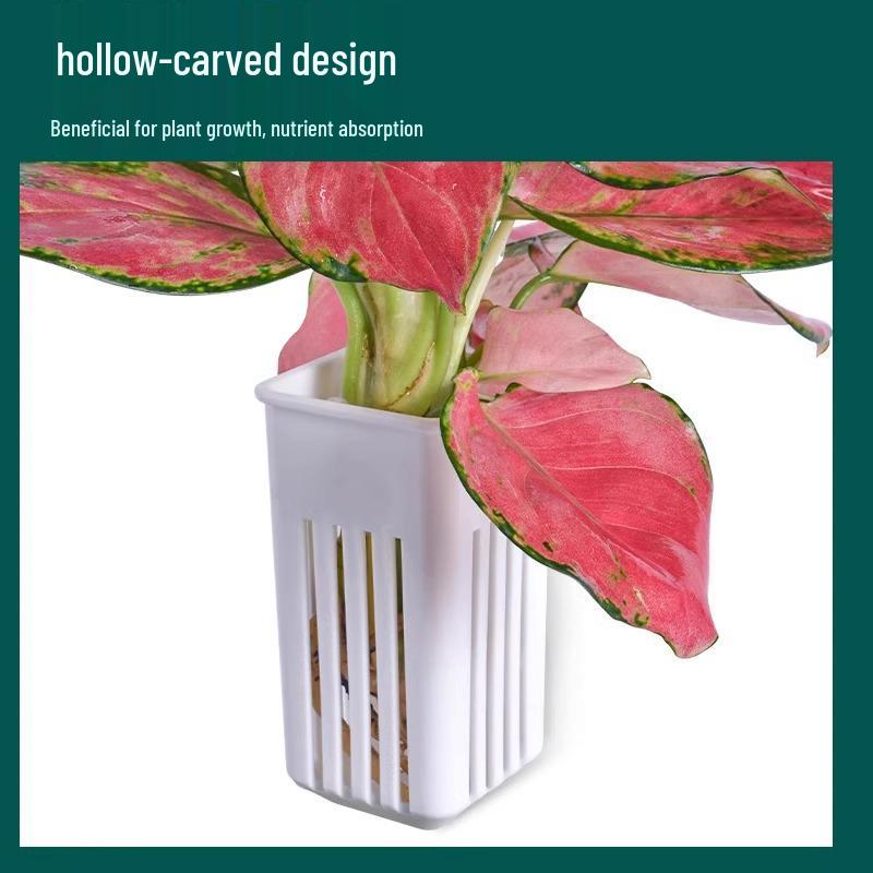 Aquatic Plant Basket: Wall-Mounted Hydroponic Cup for Fish Tanks - "Little Peng Says" Décor Accessory