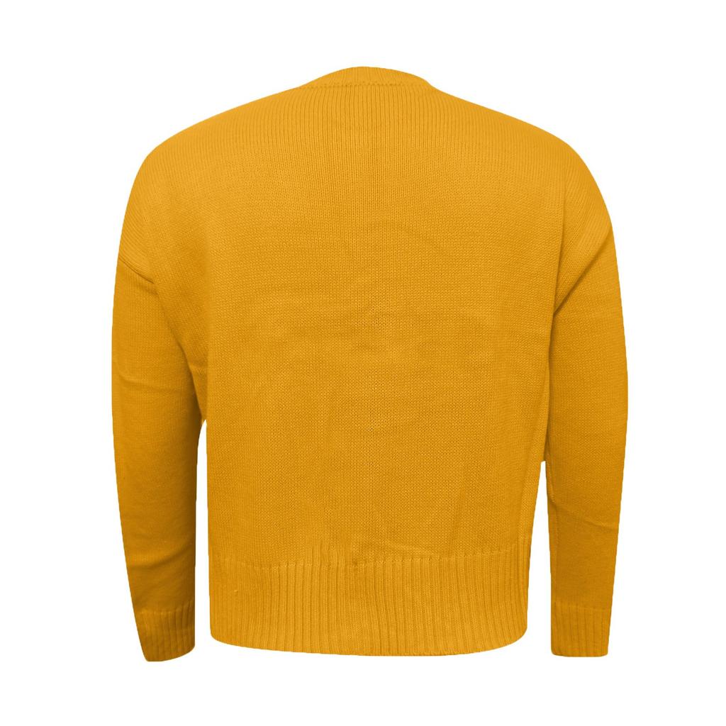 Dammode Tröja Enfärgad Rundhals Kort Pullovertröja