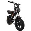 BAOLUJIE F2 500W Motor Off-Road Electric Bicycle 48V13AH Battery 45KM/H Top Speed 16 Inch All-Terrain Wide Tires City Commuting E- Mountain Bike