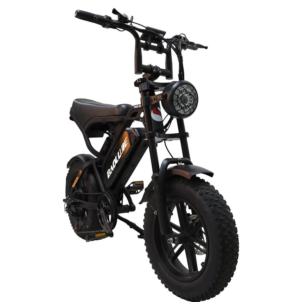BAOLUJIE F2 500W Motor Off-Road Electric Bicycle 48V13AH Battery 45KM/H Top Speed 16 Inch All-Terrain Wide Tires City Commuting E- Mountain Bike