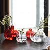 Glass Flower Vase Pomegranate Shaped Red Glass Vase Hydroponics Planter for Tabletop Home Decor Plant Containers