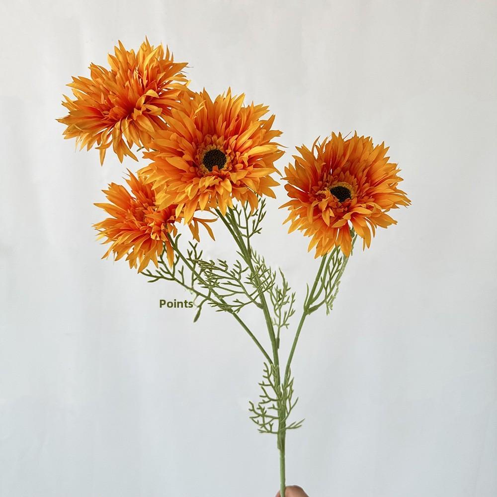 African Gerbera Jamesonii Bolus Wedding Decor For Home And Event Use