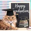 with 2026 Tassel Dog and Cats Graduation Hats Mini Graduation Cap  Holiday Costume Accessories
