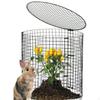 Garden Cage Animal Barrier Wire Cloche Ground Stakes Windproof Fencing for Small Plants Flowers