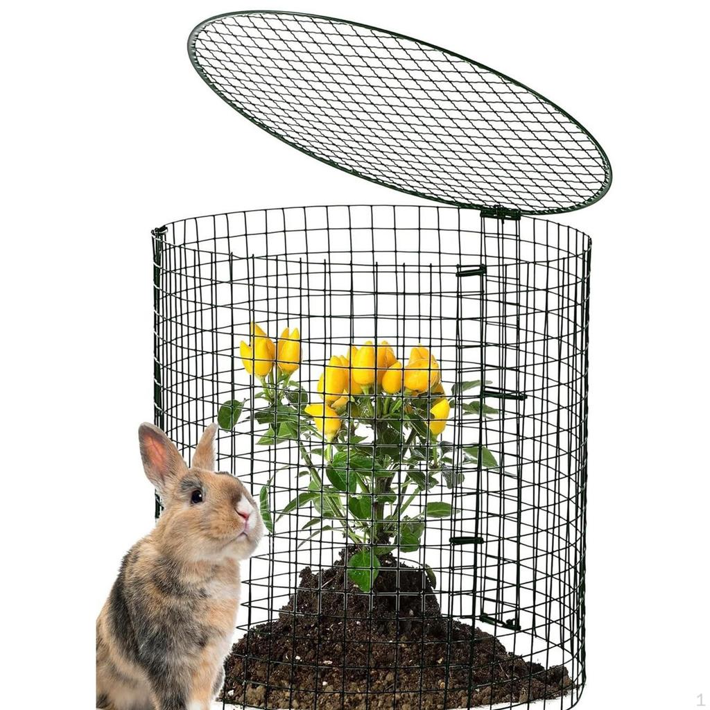 Garden Cage Animal Barrier Wire Cloche Ground Stakes Windproof Fencing for Small Plants Flowers