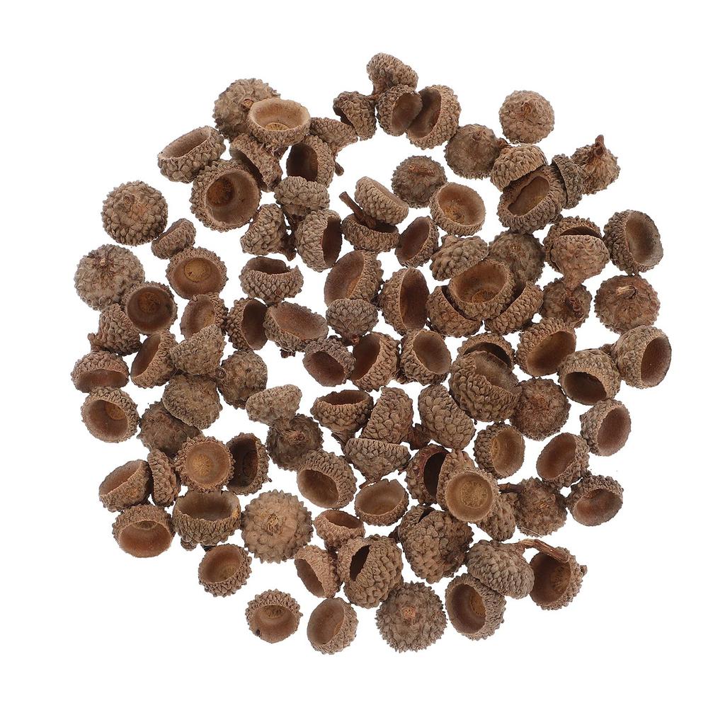 50/100PC Natural Acorn Cap Dried Acorn Decorative Christmas Tree Hanging Pendant DIY Autumn Fall Ornament For Golden Christmas