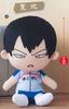 Yowamushi Pedal GRANDE ROAD Big Plush Toy Arakita Single Item
