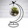 Moin Moin Hanging Stand, Iron, Moon Shape, Bird, Small Bird, Black Iron, Terrarium Hanger, Hanging Hook, Interior Decor  Height 35cm, Base Width 15cm