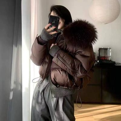 New Natural Raccoon Real Fur Collar White Duck Down Jacket Women's Short Thickened Warm Fashion Jacket