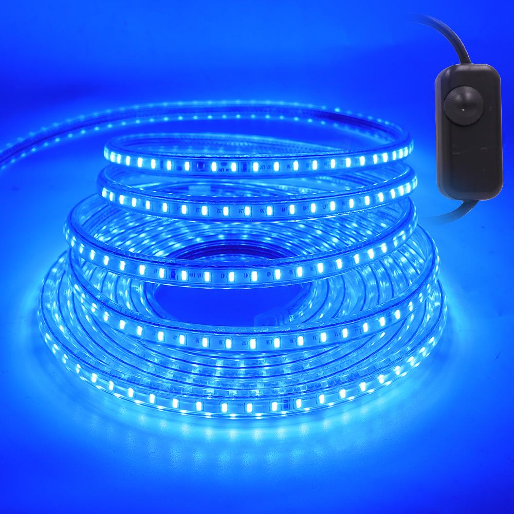220V LED Strip With Dimmer EU/UK/AU Plug Warm White Blue High Bright 120LEDs/M Waterproof 3104 Ribbon LED Light Home Bar Decor