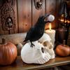 Yousheng Raven on Skull Halloween Home Decor, Gothic Crow on Skull Statue, Bird Perching on Skeleton Figurine, Macabre Ossuary