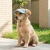 Breathable Pet Sun Hats Corduroy Cat Headwear Multi-color Dog Baseball Cap  Walking Hiking