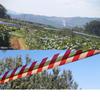 Outdoor Bird Repellent: Reflective Ribbon Strips for Orchards and Fruit Trees