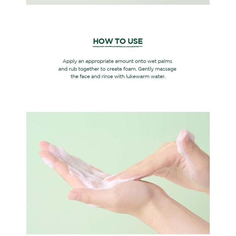SKIN 1004 - Madagascar Centella Tea-trica BHA Foam