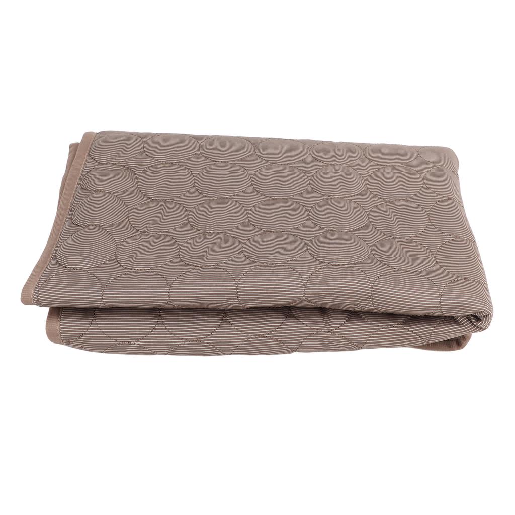 Pet Ice Pad Breathable Heat Dissipation Pad Cooling Mat Portable Dogs Cats Ice Silk Pad for Car Home