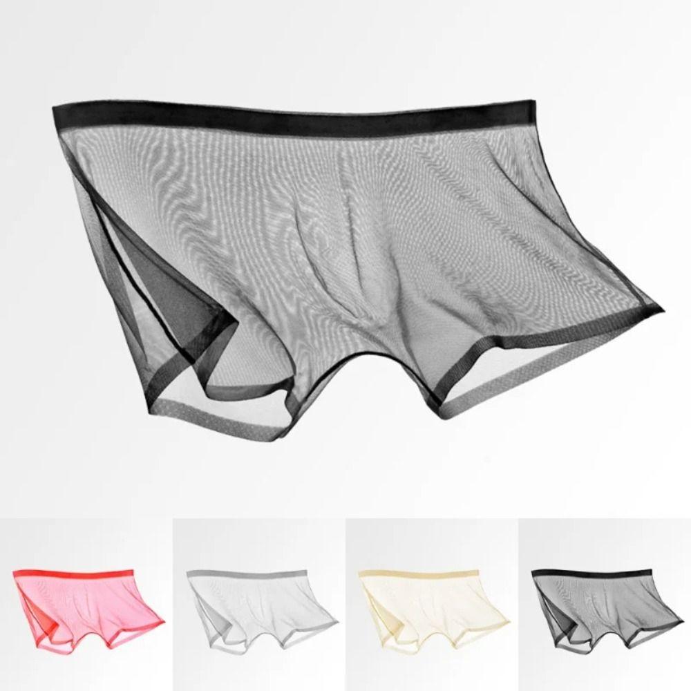 Sexy Briefs Transparent Boxers Low-waist Gauze Male Panties Fashion Men's Underwear