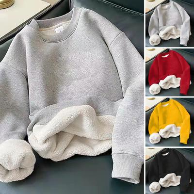 Men Sweatshirt Windproof Anti-wrinkle Breathable Fadeless Round Neck Thicken Fleece Autumn Pullover Outdoor Clothing