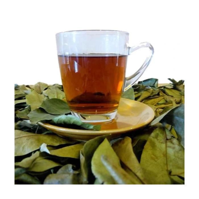 Zestaw 3 x Suszone Liście Annony Ciernistej / Graviola (Guanabana) 120 g – Suplementy Diety