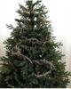 Christmas Vine & Branches: Champagne White & Gold Powder Tree Decor