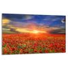 Glass Hob Protector 80x52 Poppies