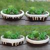 Colored Glazed Ceramic Mushroom Garden Ornaments