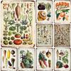 Cartaz de plantas vegetais retrô, frutas vintage, placa de lata de metal, couve-flor, arte de parede, placa, jardim, cozinha, fazenda, flores, prato, decoração