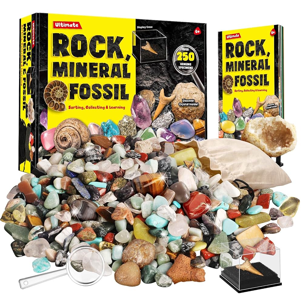 XXTOYS Gemstone Collection Set 200+ Pcs Natural Minerals Geology Science Kit for Kids