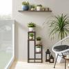 4-shelf Flower Stand - Rustic / Black Legs