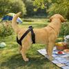 Dog Briefs Mesh Female Dog Pants Breathable Washable Physiological Pants Leak-proof Reusable Dog Diaper Anti Harassment