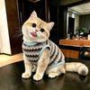 Dog clothes autumn and winter new Maillard striped shirt warm fleece jacket small dog cat winter fleece vest