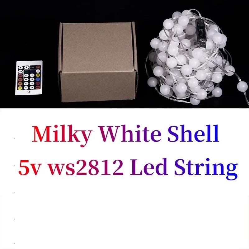 

5M/10M 5V USB LED String RGB Ws2812 Pixel Light Garland Light Waterproof Fairy Light for Christmas Wedding Party Decor Led 5M 50Leds