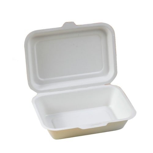 Disposable Bagasse Takeout Containers, Eco-Friendly and Stylish, e-Mold Food Packs, Size M, B004, Pack of 50