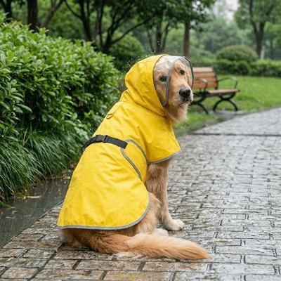 Bekleidung & Schuhe – Regenmäntel für Hunde