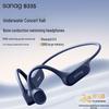 Sanag B33S Bone Conduction IPX8 Swimming Headphones