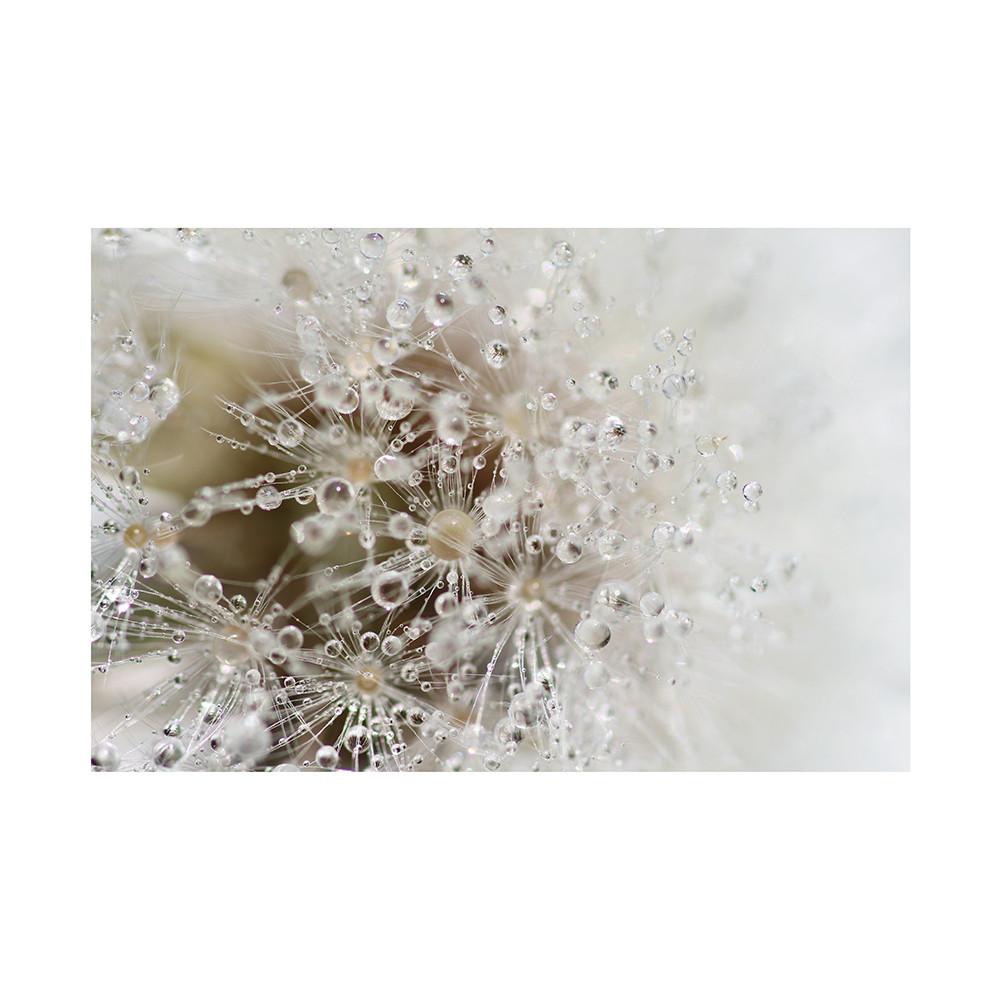 

Цветочный гобелен-фон с одуванчиками и лавандой, для мероприятий, баннер для вечеринки, домашний декор, свадьбы, фотобудки, ландшафтный декор 150*100cm-Unframed