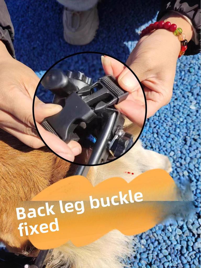 Pet Scooter Wheelchair for Disabled Dogs and Cats with Hind Leg Paralysis, Suitable for All Sizes