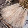 GeeParty 10Pcs Fluffy Pampas Grass Fake Reed Simulated Artificial Flower Boquet for Birthday Party Decoration