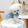 Personalized Custom Name Denim Pet Jacket, Cute Trendy Dog Cat Outfit, Unique Stylish Clothes for Puppies Kittens
