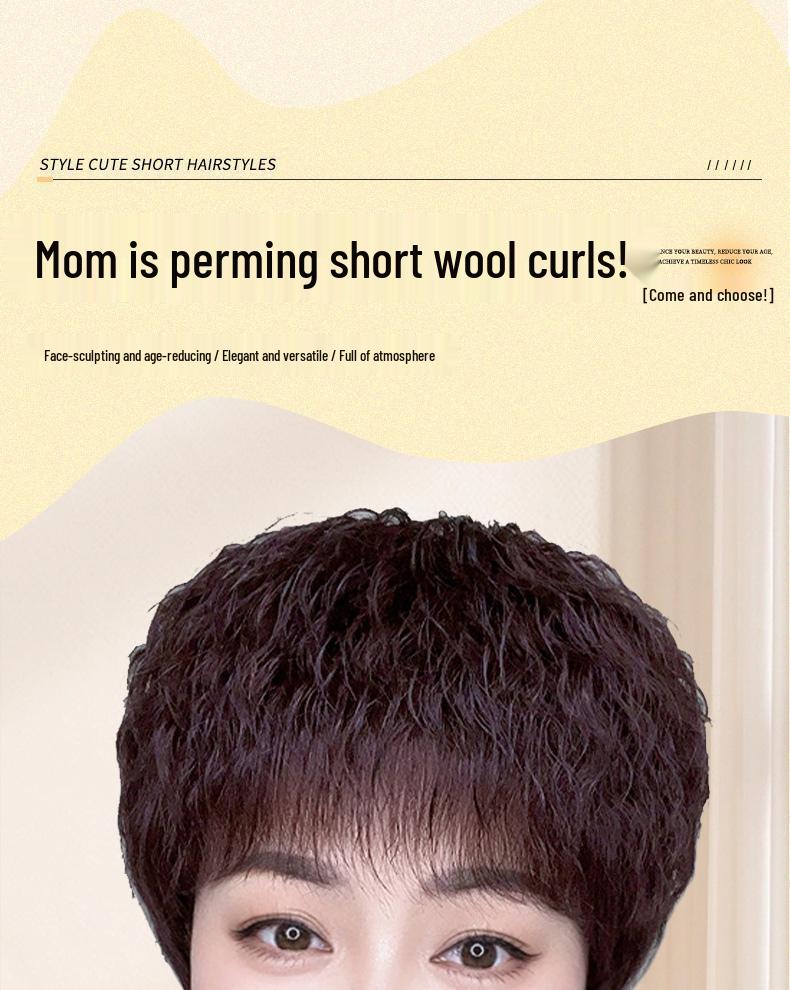 Curly Wig Cap for Middle-Aged & Elderly Women - Real & Synthetic Hair Blend