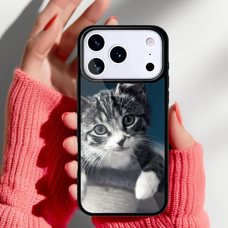Cute Cat Tabby Kitten Moggy Phone Case for iPhone 17 16 15 14 13 Pro Max Back Cover for 12 11 Pro Coque